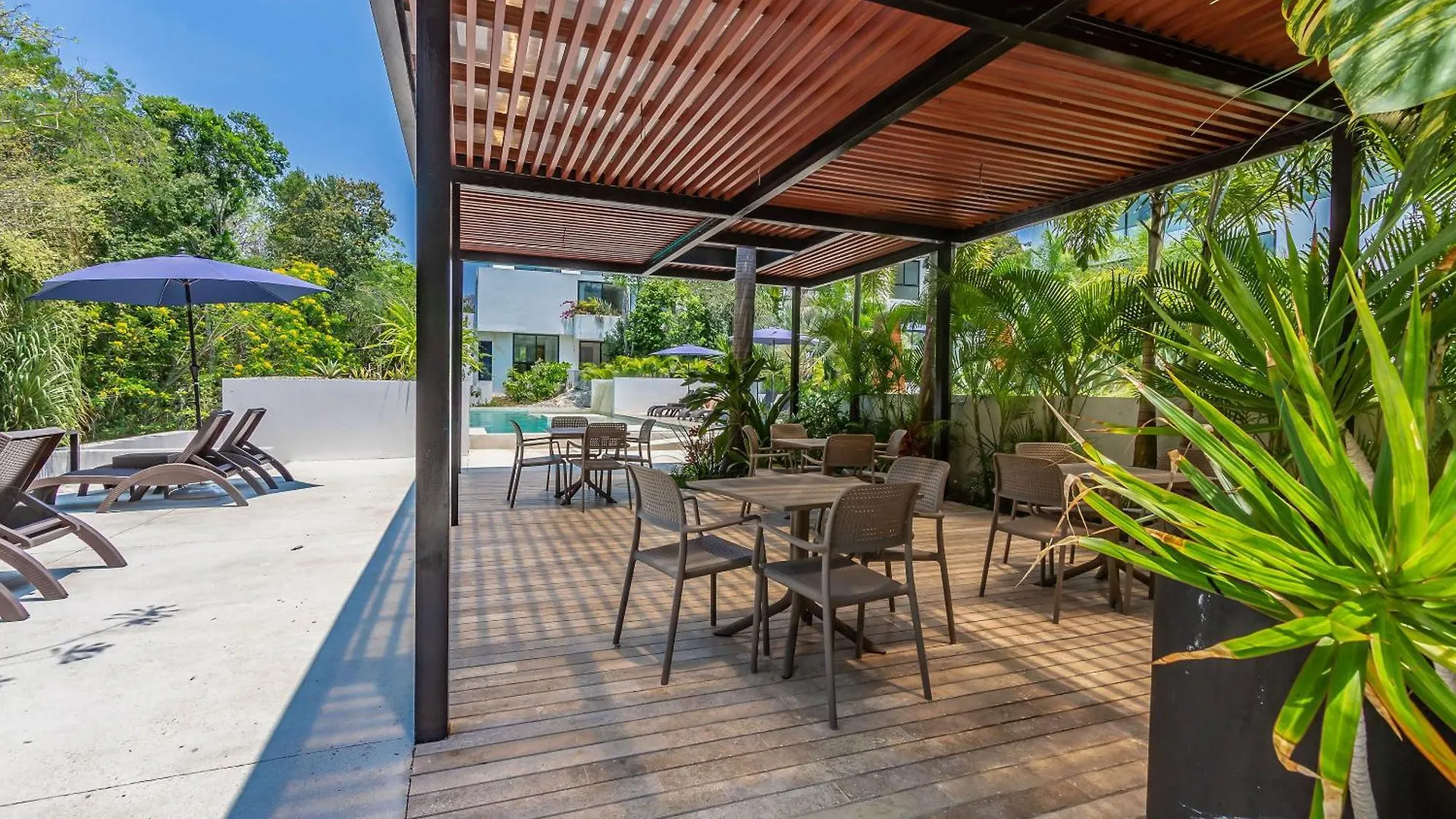 Tropical Bliss Apartments 3 Pools Rooftop Lounge And Gym Akumal