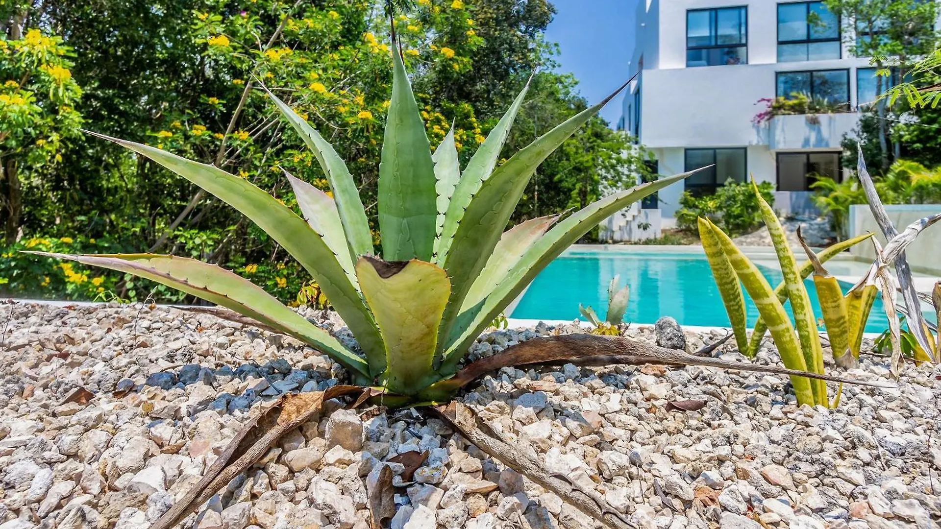 Tropical Bliss Apartments 3 Pools Rooftop Lounge And Gym Akumal